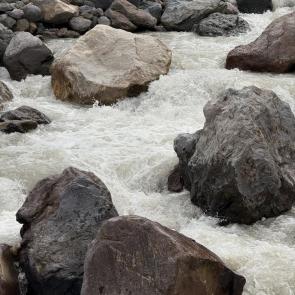 ����: ����