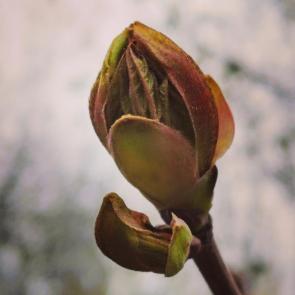 ����: ����� ���! 