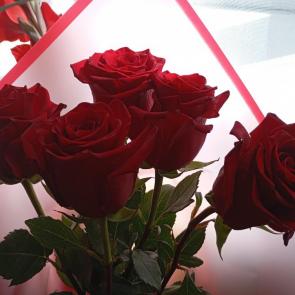 ����: �������