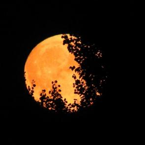 ���� ��������: ��������� ����