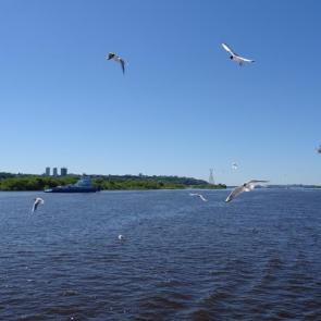 ����: �����