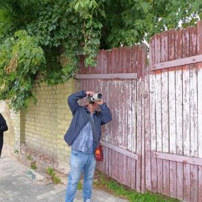 ����: ������� � �������