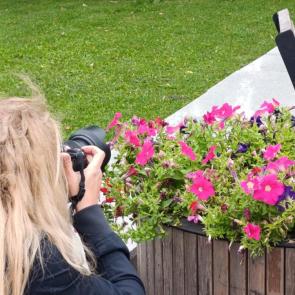 ����: ������� �����