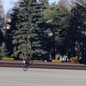 ����: ������� ��������