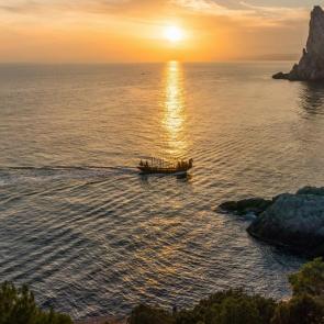 ����: ������ ���