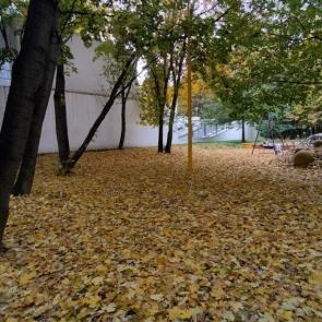 ����: ������