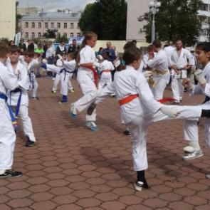 ����: ���������