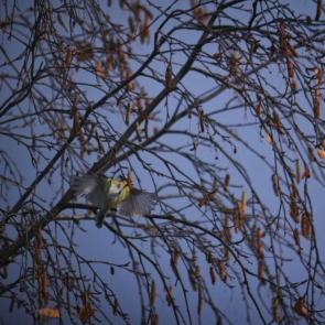 ����: � ������