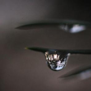 ���� ��������: ��� � ����� �����