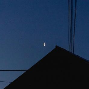 ����: �����