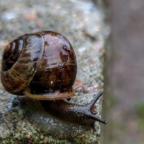 ����: ��������� �������...