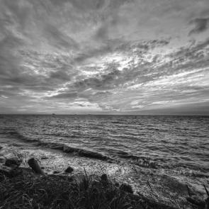 ���� ��������: 