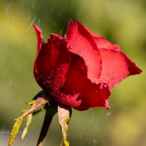 ����: ���� � ������� ����