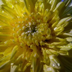 ����: � ������� �������