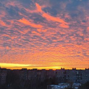 ����: �����