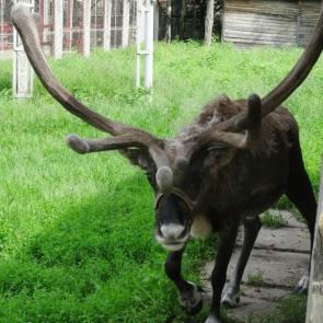 ����: �������� �����