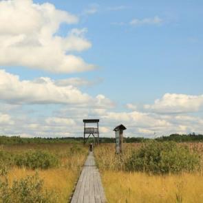 ����: �������� �����