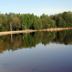 ����: ������ �����