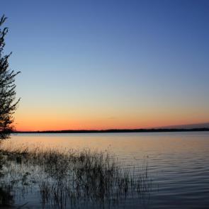 ����: ����