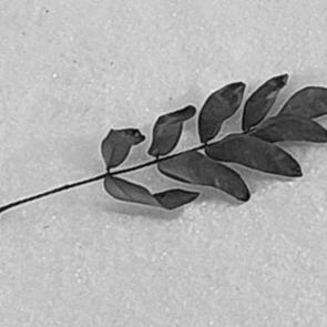 ����: �� �����