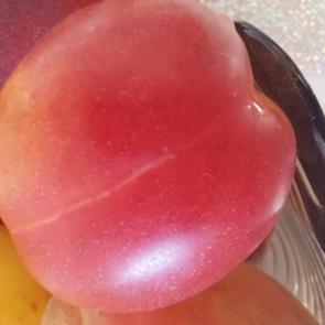 ����: ������ �����