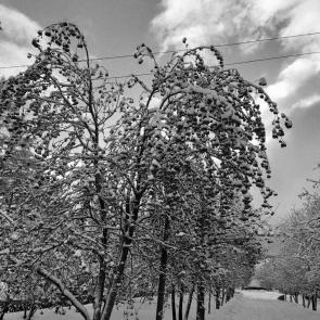 ����: ���� ������ � ������