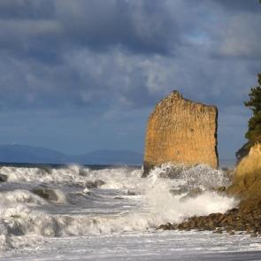 ����: ����� �����