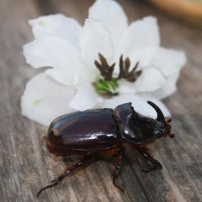 ����: � ����� ���� ����...