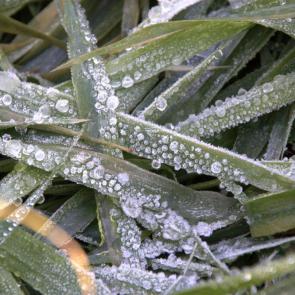 ����: ������ ������