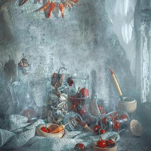 ����: �������� ���������. 