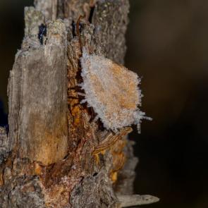 ����: ������� ������ &amp;#65533;