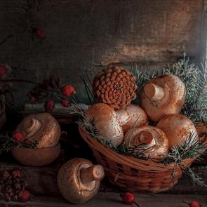 ����: ������� ���������. 