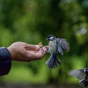 ����: �������� ��� ����