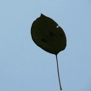 ����: �� ��������