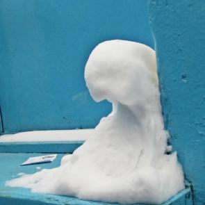 ����: ���������