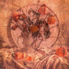 ����: ������� ����.