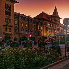 ����: �������. 