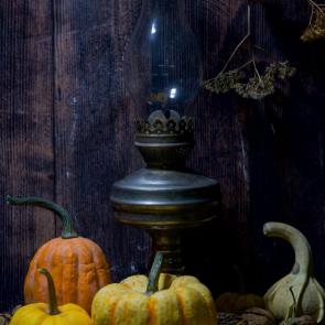 ����: �������