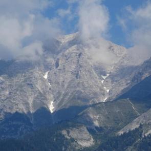 ����: �����