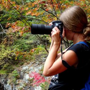 ����: �����.