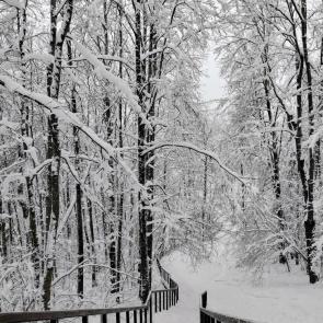 ���� ��������: ������ � ������