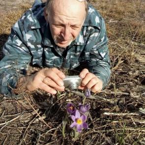 ����: ��� � �����������