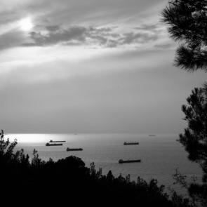 ����: �������