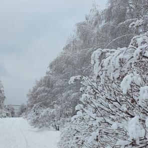 � ����������� �����