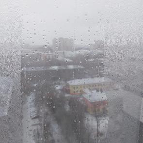 ����: ����� �� �����