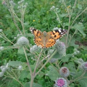 ����: � ������� ���������