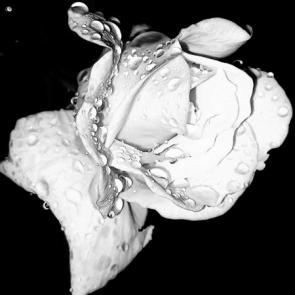 ���� ��������: 