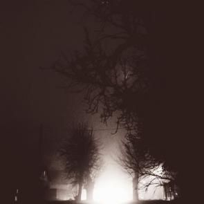 ���� ��������: 