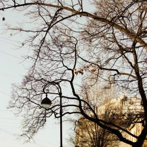 ��������� �����-���������