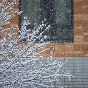 ����: �����������